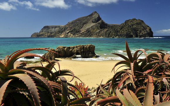Madeira te espera