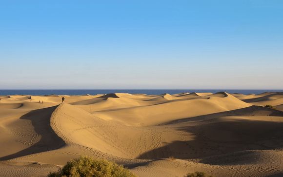 Gran Canaria te espera
