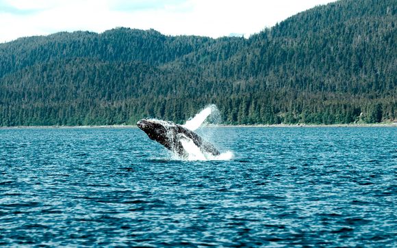 Canadá con avistamiento de ballenas