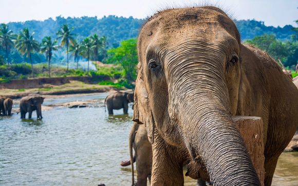 Itinerario - Salidas en grupo