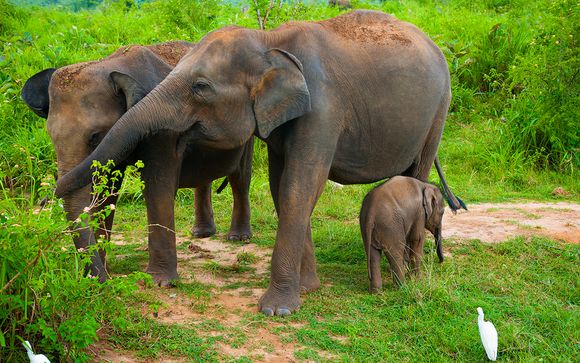 Itinerario - Salidas en grupo