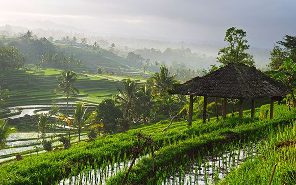 Tus destinos te esperan