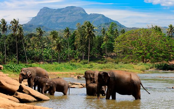 Itinerario - Salidas en grupo