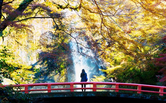 Itinerario - Visitas sugeridas 