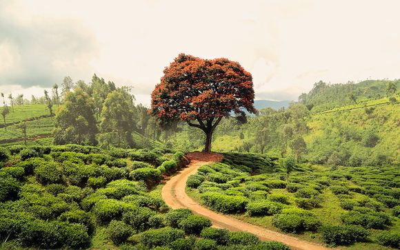 Itinerario 8 noches - Salidas en grupo