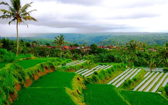 Tus destinos te esperan