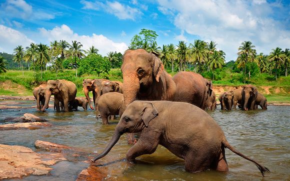 Itinerario - Salidas en grupo