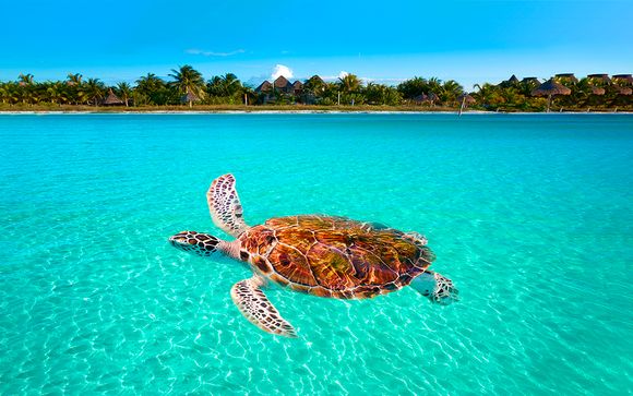 Relax en la isla más hippie del Caribe