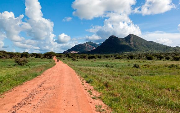 Tu safari (opción 2)