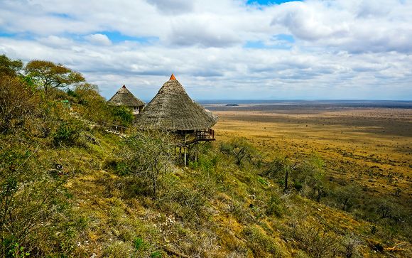 Tu safari (opción 2)