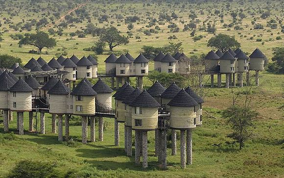 Tu safari (opción 2)