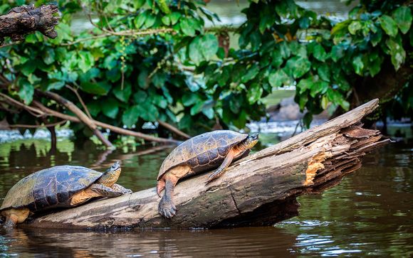 Itinerario de 10 noches