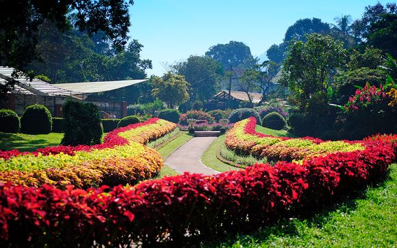 Itinerario - Salidas en grupo
