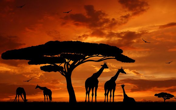 Itinerario - Salidas en grupo