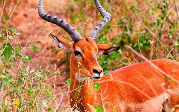 Itinerario - Salidas en grupo