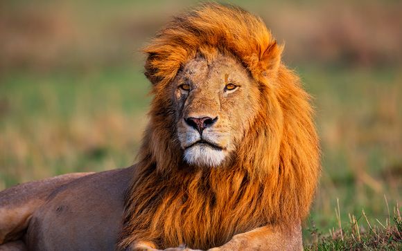 Itinerario - Salidas en grupo