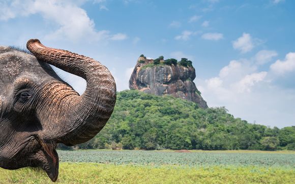 Itinerario de 5 noches