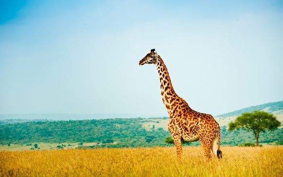 Serena Beach Resort & Spa 5* 