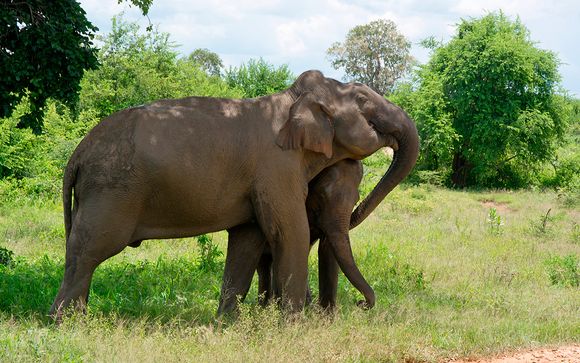 Itinerario - Salidas en grupo