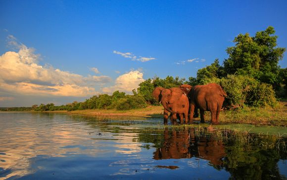 Aventura en la sabana con safaris, tour cultural, ¡y más!