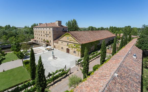 Cata de vinos, lujo y descanso en el valle del Duero