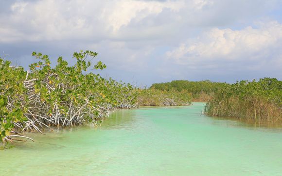 Barceló Maya Beach 5*