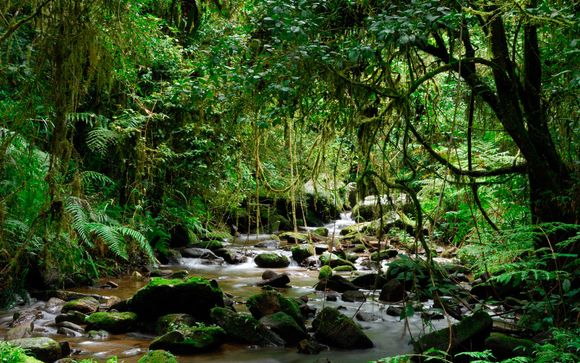 Itinerario - Salidas en grupo