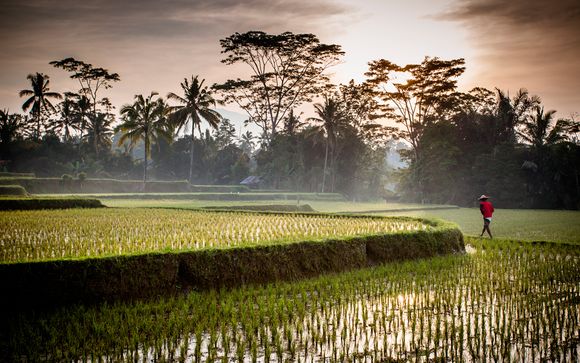 Bali Exótica: Ubud y Playa