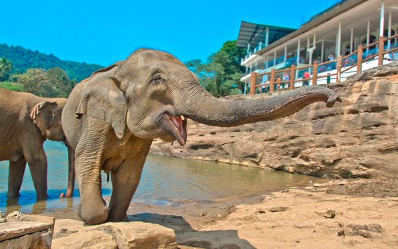 Itinerario - Circuito privado