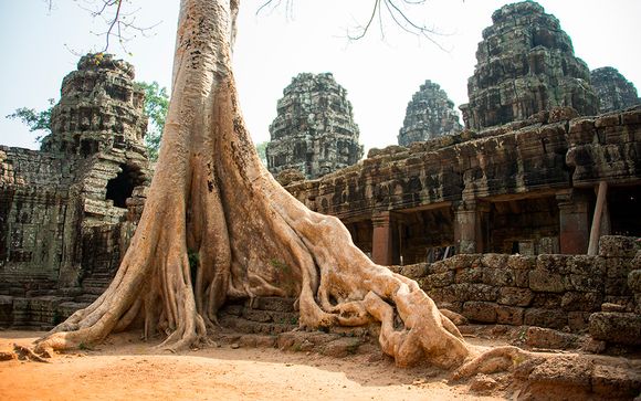 Itinerario - Salidas en grupo