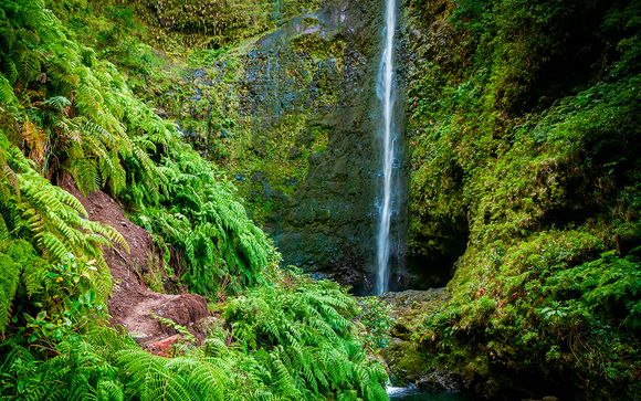 Itinerario - Salidas en grupo