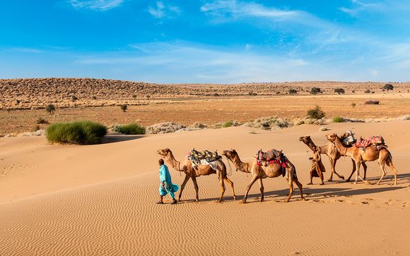 Itinerario - Salidas en grupo