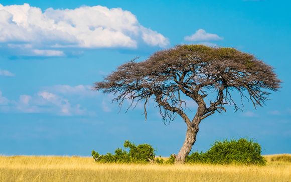 Itinerario - Salidas en grupo