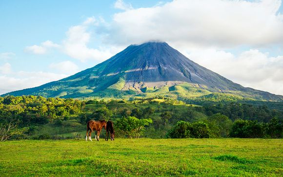 Un viaje repleto de emociones con coche y vuelos