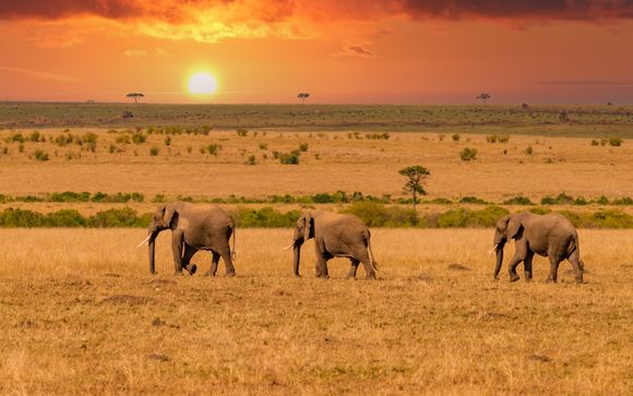 Rendez-vous... au Kenya et en Tanzanie