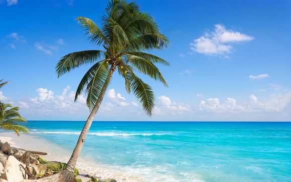 Rendez-vous... à New York et à Puerto Aventuras !