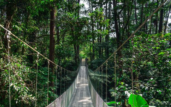 Mettez une option sur l