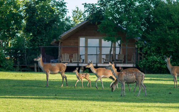 Poussez les portes de votre 4*