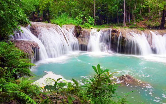 Mettez une option sur l