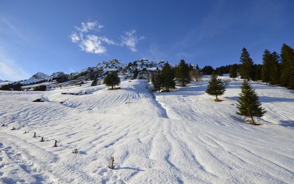 Cap sur les sommets !