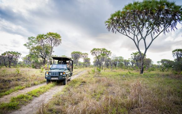 Rendez-vous... à Zanzibar