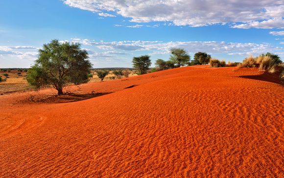 Mettez une option sur l