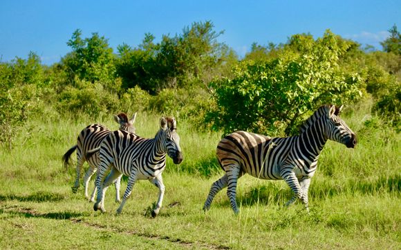 Zoom sur votre programme