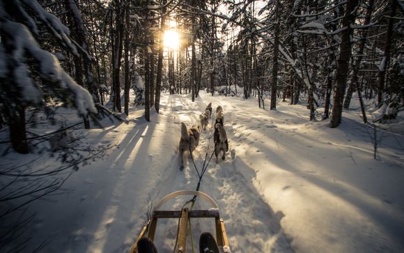 Mettez une option sur l