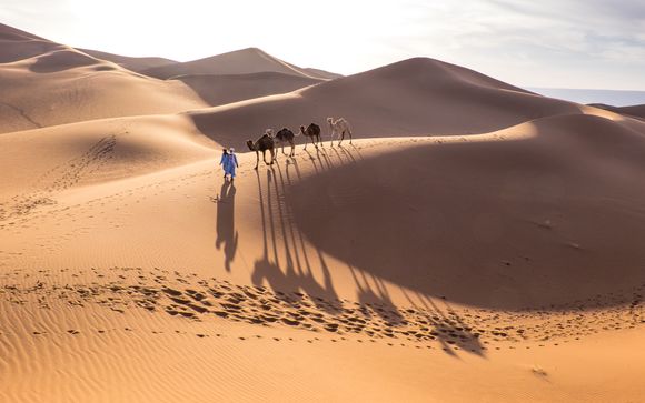 Vos circuits en un clin d'oeil
