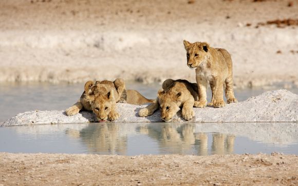 Mettez une option sur l