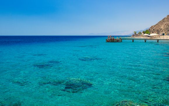 Mettez une option sur l