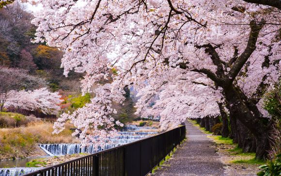 Zoom sur votre programme