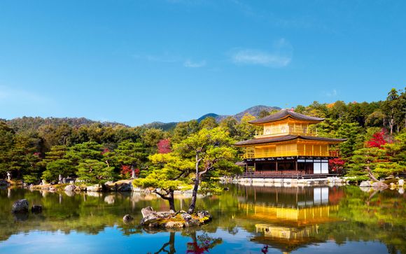 Zoom sur votre programme