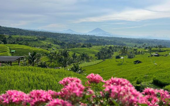 Zoom sur votre programme